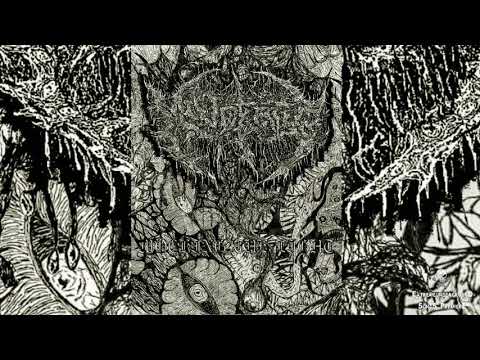 ▶ MINDEATER - Perpetual Rot-☠(TRACK PREMIERE 2020)☠