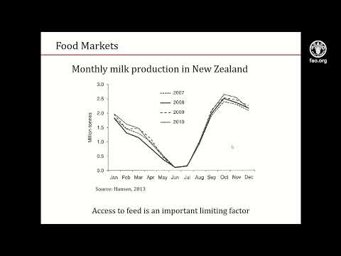 FAO training for Pacific SIDS - Feature of food market