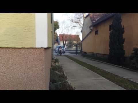 Tomos D6 Replika #55