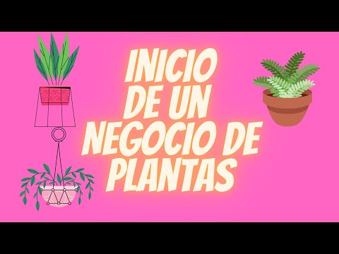 , title : '¿CÓMO INICIAR UN NEGOCIO DE PLANTAS?¿QUÉ COSAS TENER EN CUENTA? @Enamorado De Las Plantas y Más'