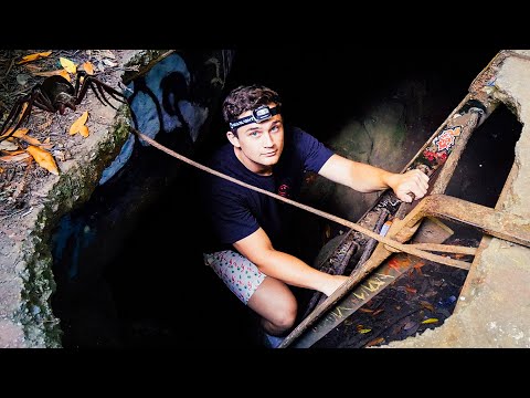 Spelunkers Explore A Dark Cave, Are Shocked To Discover It's Filled With Spiders