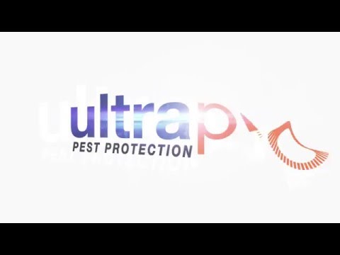 Integrated Pest Management For Keeping Rodents Out of Your Warehouse 3/5