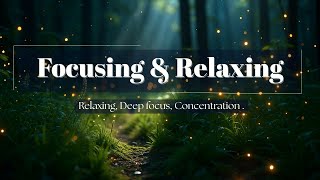 2 Hours Bamboo Water Rhythm 🌿 | Zen Garden Flow for Meditation & Relax