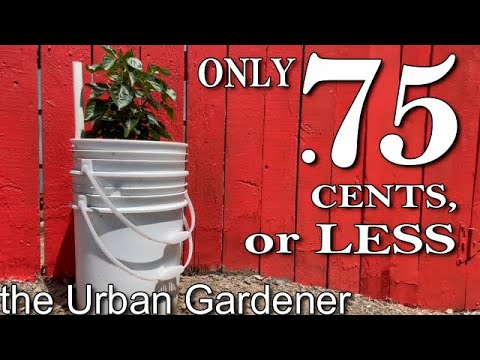 SELF-WATERING containers | ONLY .75 cents or LESS!