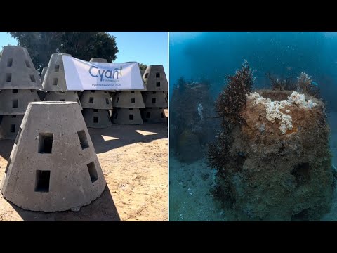 Sneak peek at the science behind Carnarvon’s new artificial reef modules!