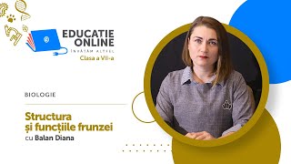 Structura și funcțiile frunzei