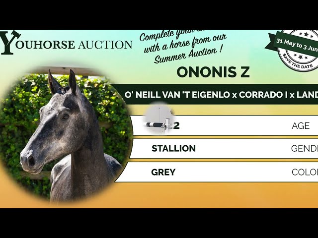 Onosis Z