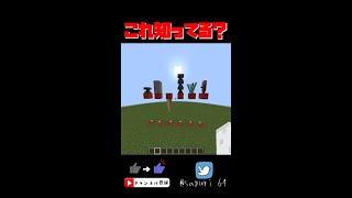【マイクラ検証】かめの卵ってどれくらい硬いの？？？豆知識！【Minecraft】【ゆっくり実況】