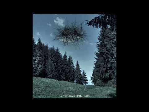 Basarabian Hills - In the Stillness of the Codri (Full Album)