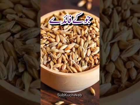 Jau Ke Fayde, Health Benefits of Barley in Urdu #jau #barley #healthbenefits #youtubeshorts