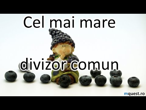 Cel mai mare divizor comun, clasa a VI-a