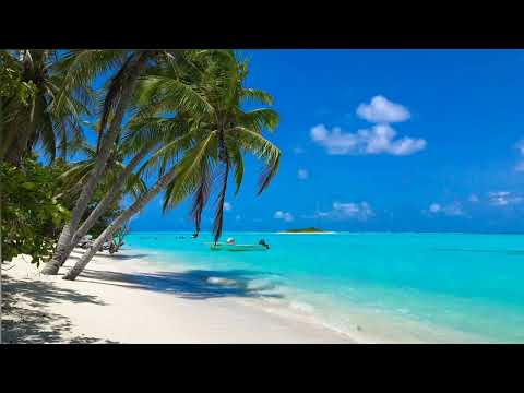 Jubel - Klingande 🎵 Extended 1 hour loop