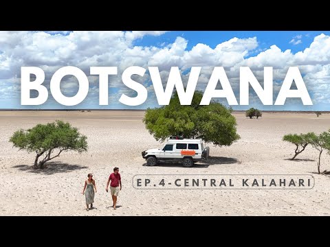 BOTSWANA - CKGR Selfdrive safari | Kalahari Overlanding Adventure - BOTSWANA EP.4