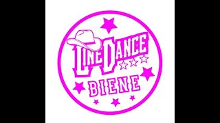 Disappearing Tail Lights Lernvideo Teach &amp; Dance Line Dance Biene Teil 2