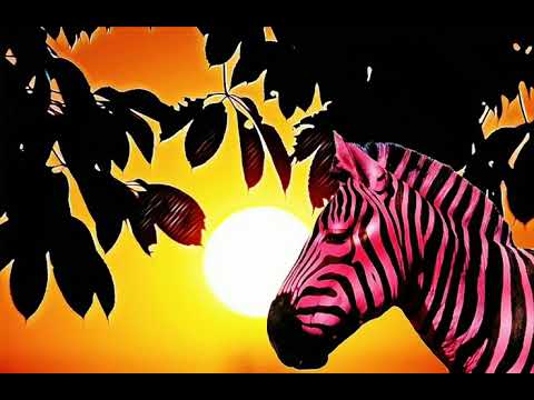 Pinkzebra - Chasing The Sunshine