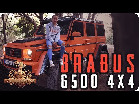 Shania fährt zum ersten mal 500 PS Auto🚘🌳 I Die Geissens