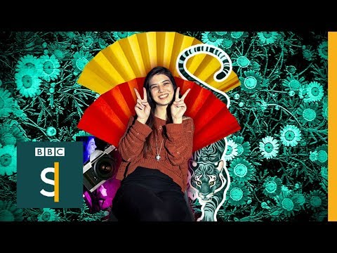 不是那麼（瘋狂富有）的英國東亞裔 (Not So (Crazy Rich) British East Asians - BBC Stories)