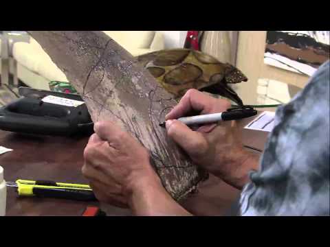 Mulher.com 07/02/2013 Walter Silva - Máscara indígena  parte1