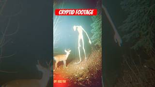 Cryptid Sighting: Unexplained Creature Caught on Trail Cam