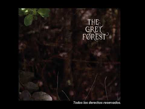 The Grey Forest - Sobre las montañas