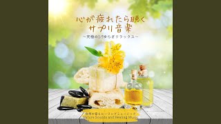 Download lagu 心が疲れたら聴く～1/fゆらぎ～ mp3