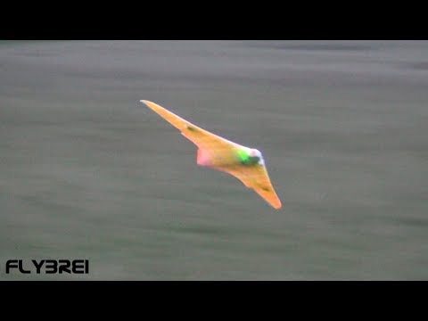 3D Printed Horten IX RC-Plane HO229 GO229 Gleitflug F-Schlepp 3d Drucker Horten 9