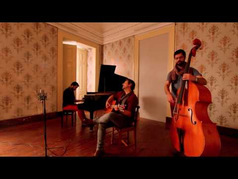 MONDA - Lindo Ramo Verde Escuro