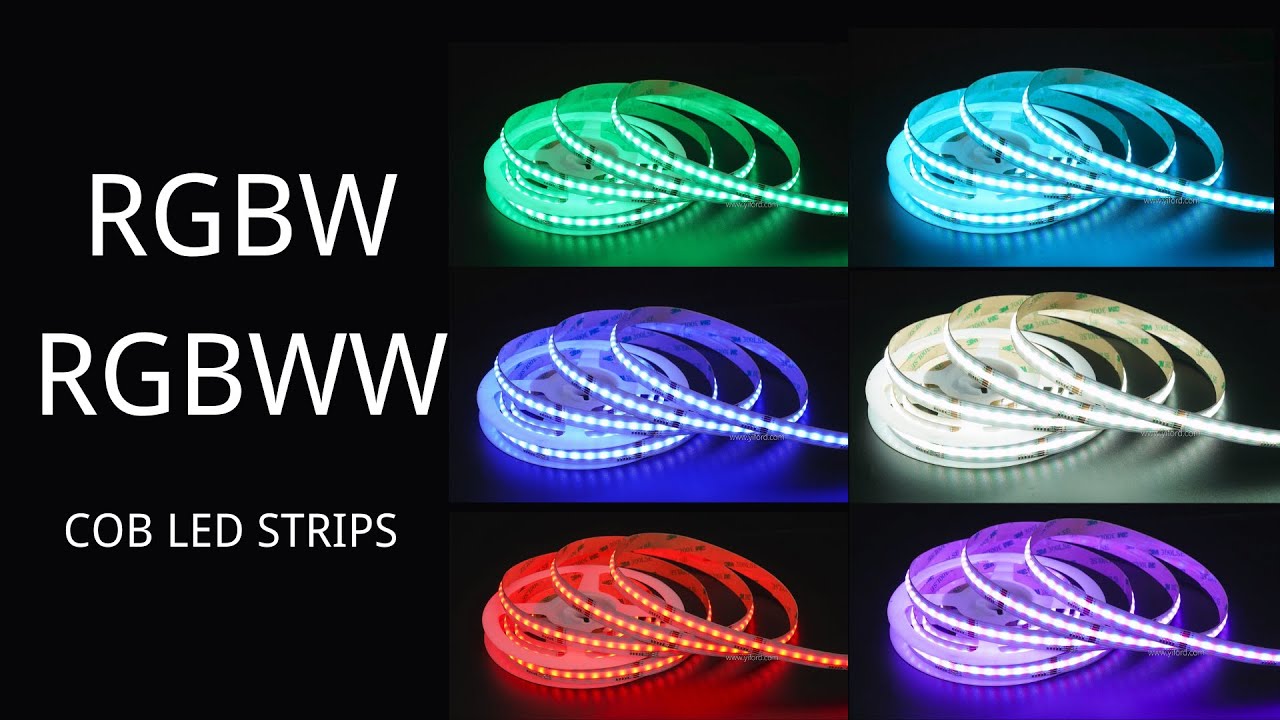 RGBW and RGBWW LED Strips 1