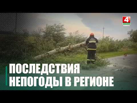 Вода в доме и поваленные деревья: как Гомель пережил сильный ливень