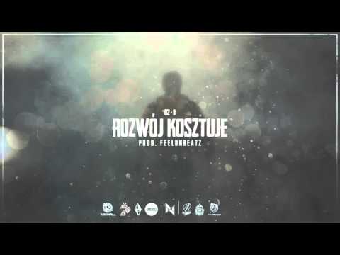 Pelek -  Rozwój kosztuje prod. FeelonBeatz