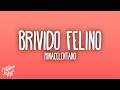 MINACELENTANO - Brivido Felino