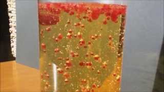 Lampe à lave (bicarbonate et vinaigre, chapitre 1) : expérience scientifique simple !