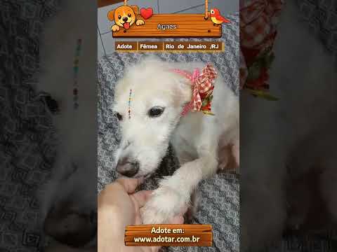 Vídeo de Agnes