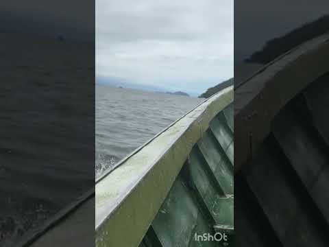 #prismlivestudio #bertioga #saopaulo #litoral