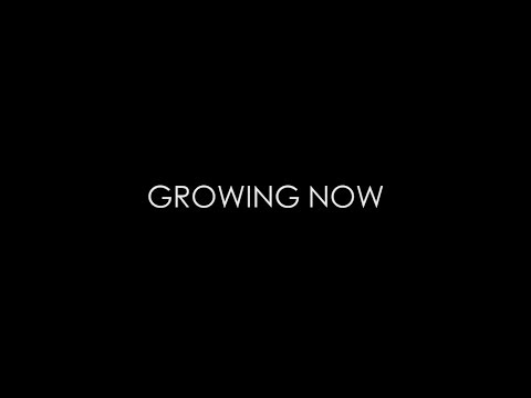 Growing Now (Acoustic) Live at Beta Wave