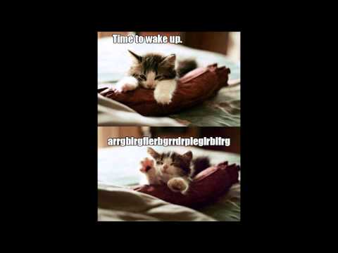 Pursuit of Happiness vs. Epic- Steve Aoki vs. Sandro Silva ft. Quintino