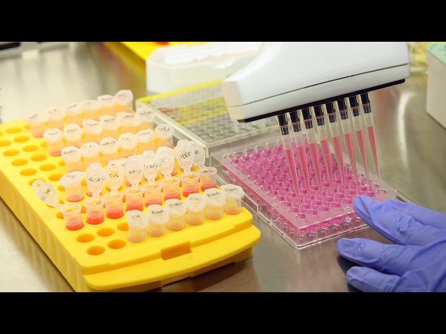 Ahorre tiempo entre las transferencias de muestras para mejorar la productividad de pipeteo