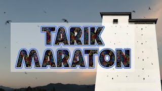 Download lagu TARIK MARATON Suara Sedot Walet Terbaru Tahun 2022 mp3 Download lagu TARIK MARATON Suara Sedot Walet Terbaru Tahun 2022 mp3