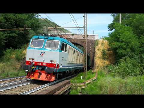 TIGRE E.652 040 CON CONTAINER IN TRANSITO A RIGOROSO (AL) 15 - 7 - 2017