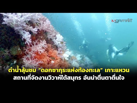 คลิกเพื่อดูคลิปวิดีโอ