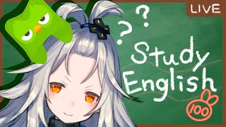 【duolingo】Studying English-!てとと英語のお勉強！作業用/垂れ流し/睡眠用