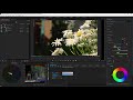Цветокоррекция в Adobe Premiere Pro (Lumetri Color)