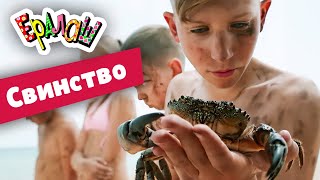 Ералаш №348 - Свинство