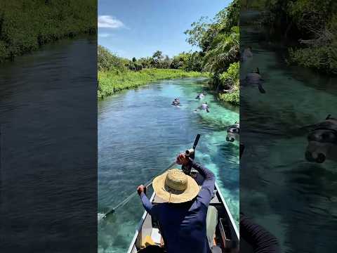 Barra do Sucuri - Flutuação📍