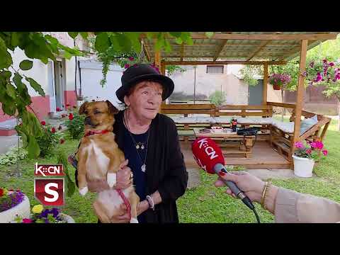 Dvorište za primer