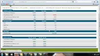 Accountboss-Verizon Wireless-Wireless Bill Management System