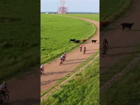 Lachlan Morton is right at home in the Flint Hills of Kansas 🤠 #gravel #lifetimegrandprix