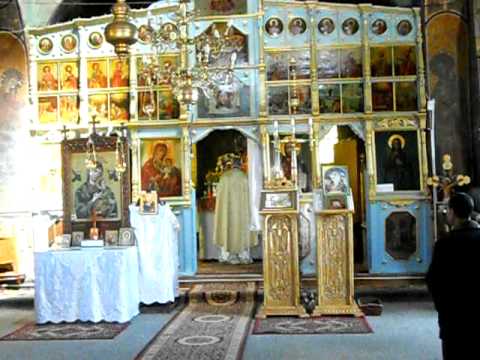 viisoara fragment paste 2011 constanta