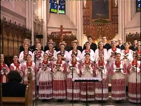 FA SKUD-a 'Ivan Goran Kovačić' - Majko draga, djevo sveta