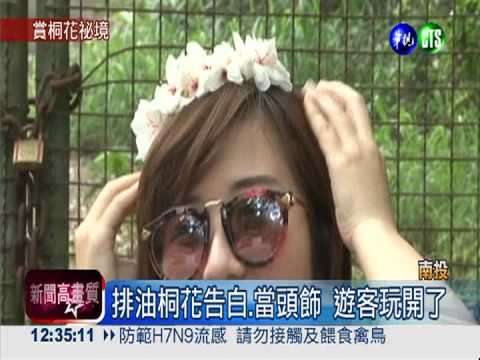 油桐花滿開! 藤山步道雪白夢幻